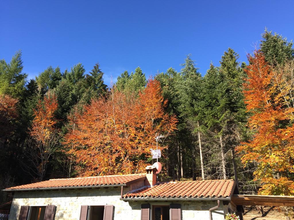 Casa Camporino Попи Стая снимка